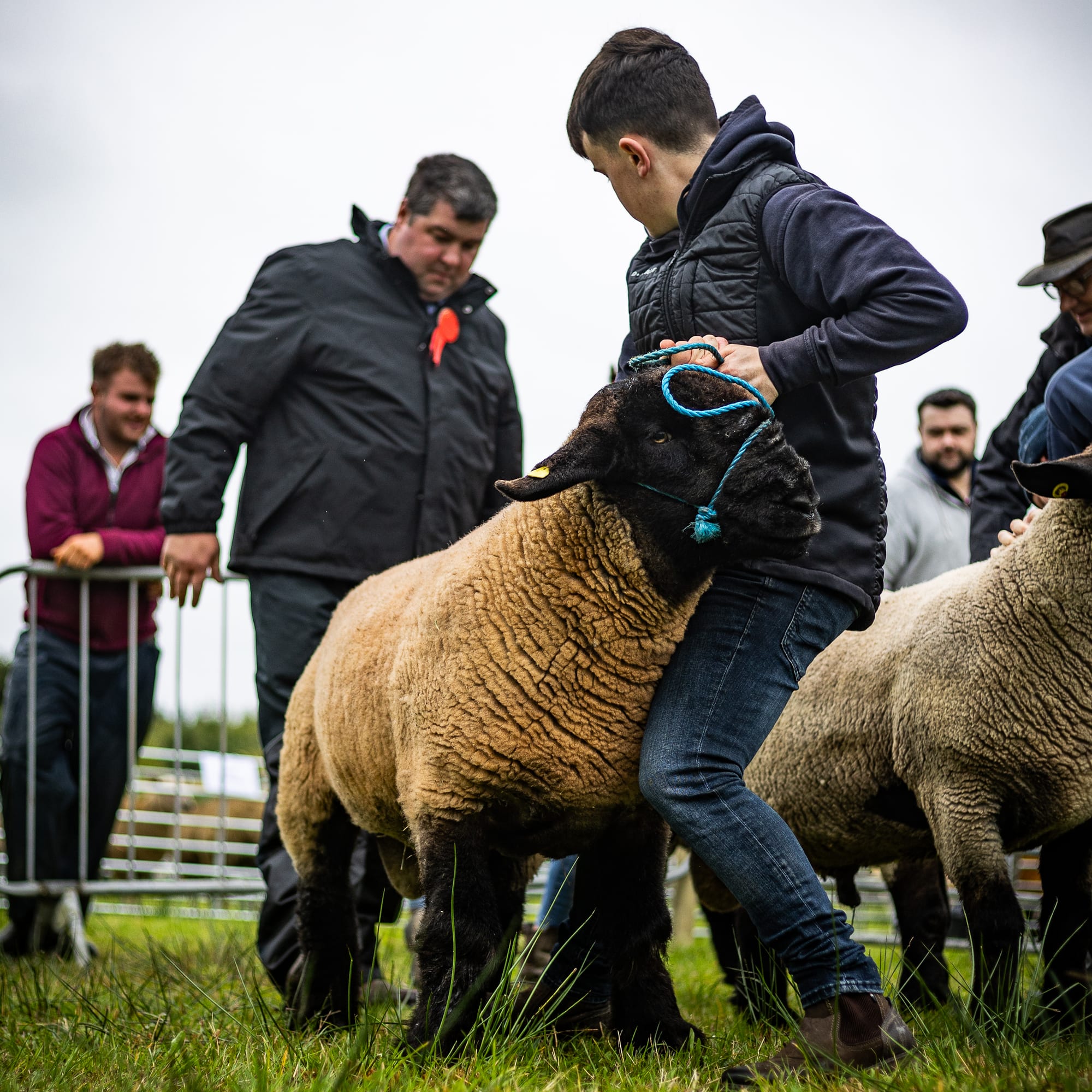 Strokestown Show gallery photo 15